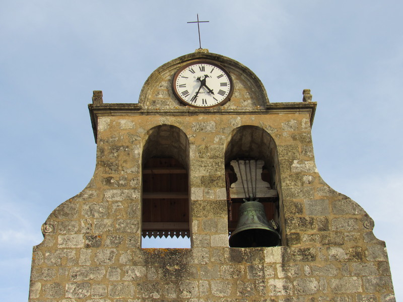 IMG_7835.jpg